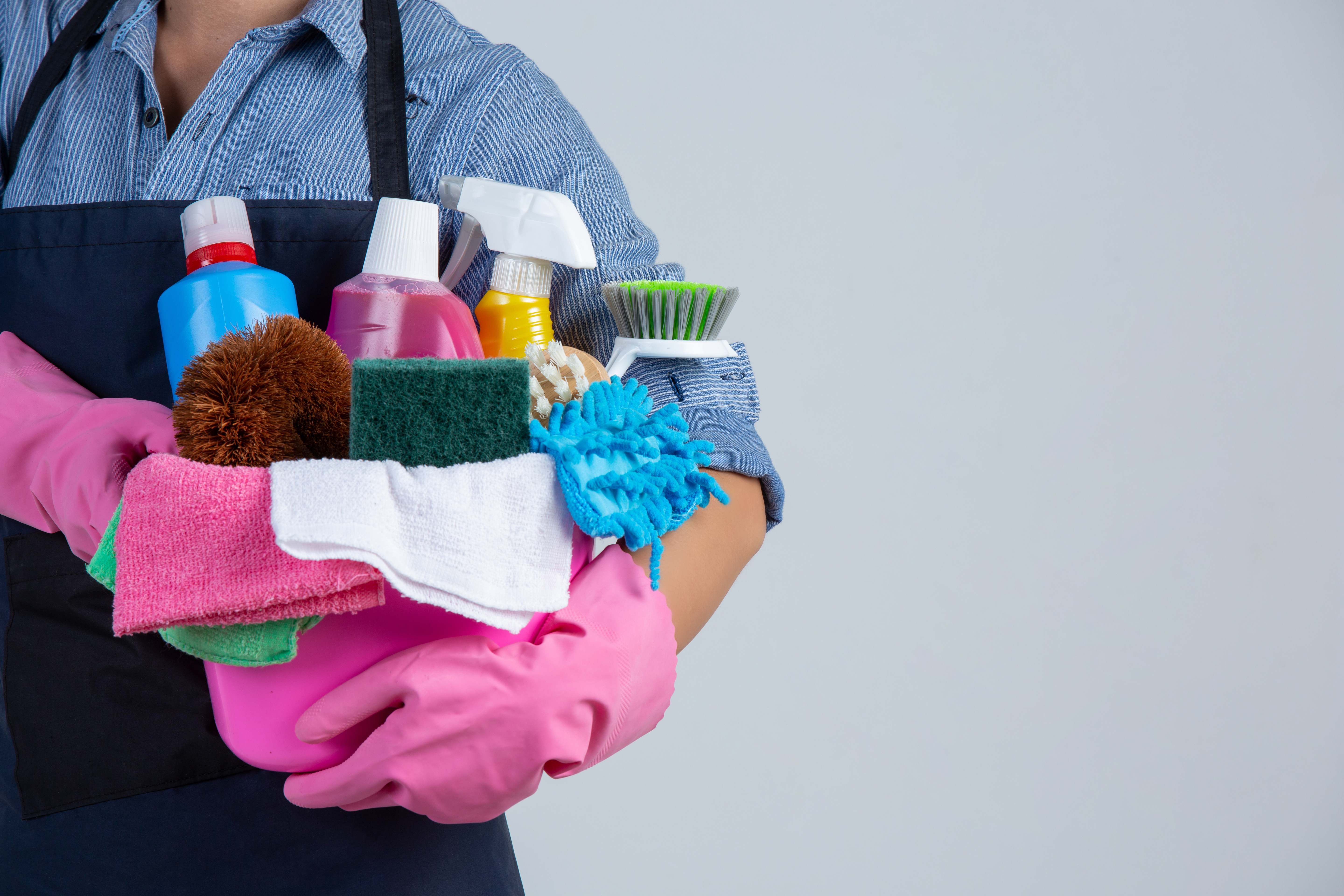 Professional Cleaning Service